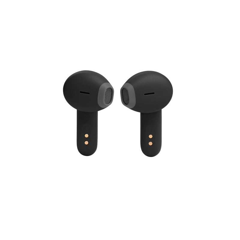 Jbl 2025 300 earphones